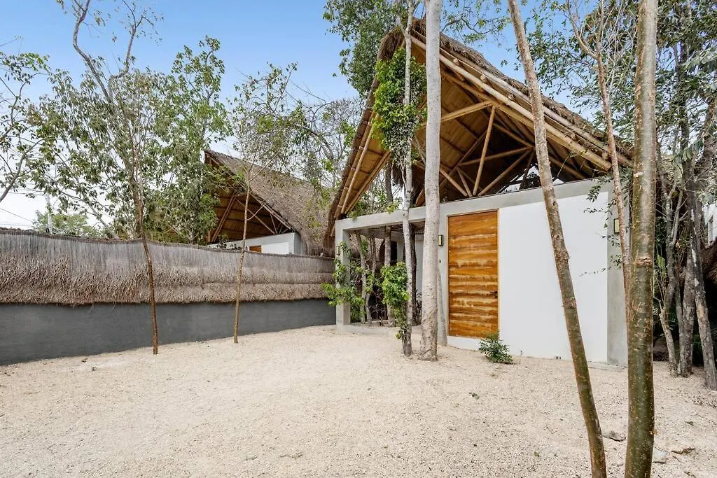 Apartment Lux Toh Villa, Rooftop Pool, Wifi, Transport Tulum Mexico